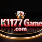 K1177 Game